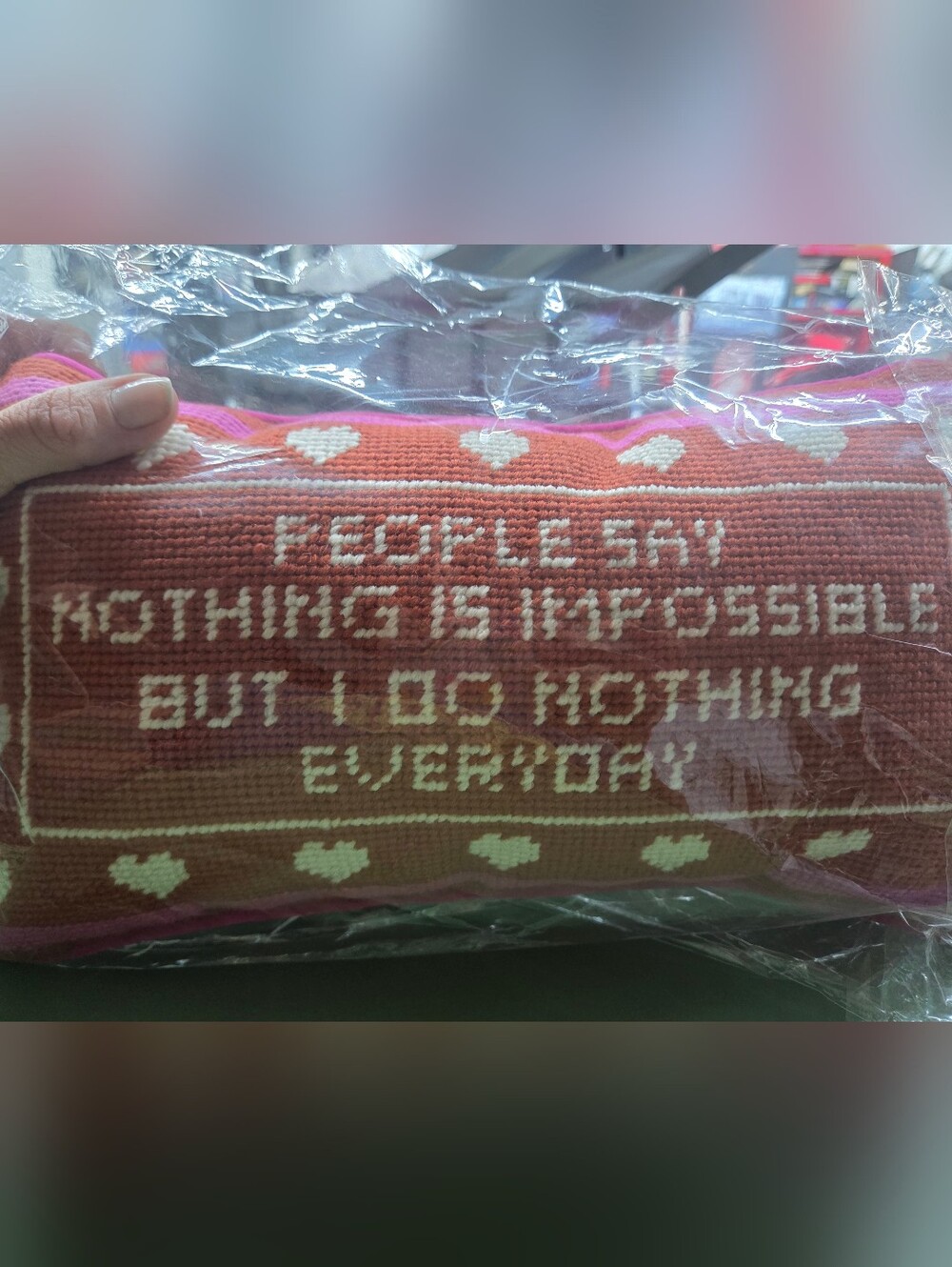 Furbish 'Nothing Is Impossible but I do Nothing Everyday' Pillow - Anthropologie